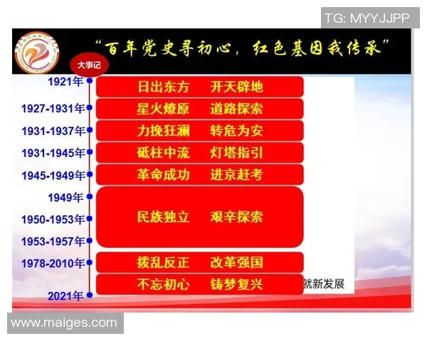 上海排球队的奋斗历程与总决赛背后的成长故事揭秘